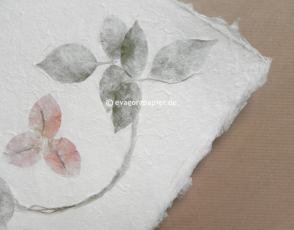 Kozo Papier, Blütenpapier