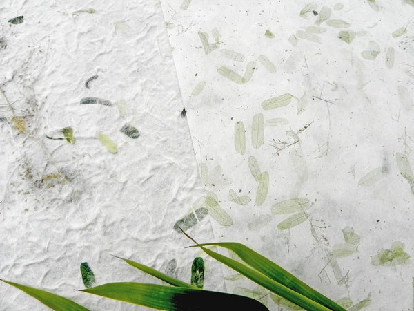 Kozo Papier mit Tamarindblättern, grün und creme