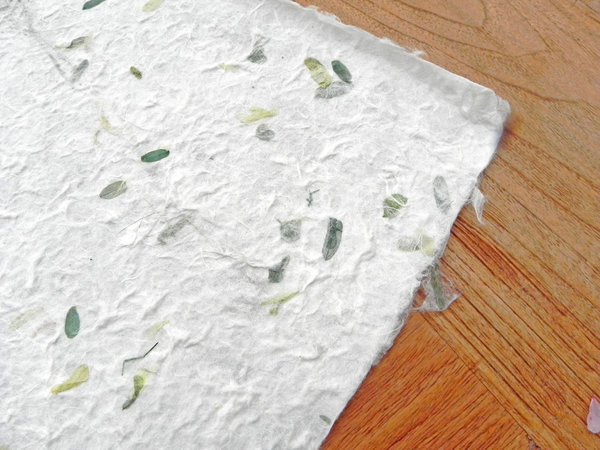 Kozo Papier mit Tamarindblättern, grün und creme